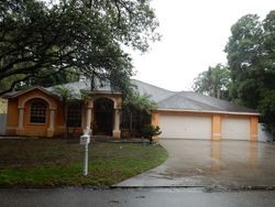Pre-foreclosure in  WEST LAKE BURRELL DR Lutz, FL 33549