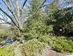 Pre-foreclosure in  LUCAS DR Lafayette, CA 94549