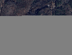 Pre-foreclosure in  MANCHESTER DR Guntersville, AL 35976