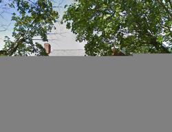 Pre-foreclosure in  W CENTRAL AVE Telford, PA 18969