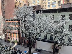 Pre-foreclosure in  E 78TH ST C New York, NY 10075