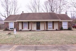 Pre-foreclosure in  NORFIELD DR Memphis, TN 38115