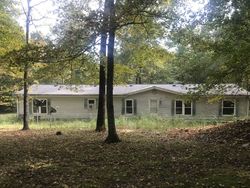 Pre-foreclosure Listing in PROMISE LAND RD CHARLOTTE, TN 37036