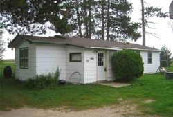 Pre-foreclosure Listing in STATE 371 NW BACKUS, MN 56435