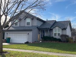 Pre-foreclosure Listing in REDWOOD DR ELWOOD, IL 60421