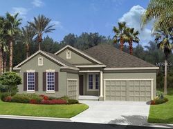 Pre-foreclosure in  BLUE CYPRESS DR Groveland, FL 34736