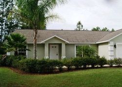 Pre-foreclosure in  KARAT PATH Palm Coast, FL 32164