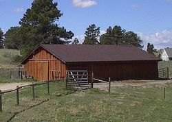 Pre-foreclosure in  WINDING MEADOW DR Kiowa, CO 80117