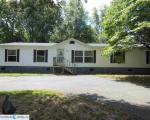Pre-foreclosure Listing in RAGWEED VALLEY RD ROYAL, AR 71968