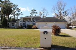 Pre-foreclosure in  CRYSTAL COVE DR Palatka, FL 32177