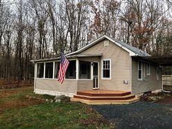 Pre-foreclosure in  AWOSTING RD Pine Bush, NY 12566