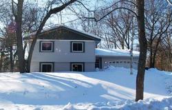 Pre-foreclosure in  RUM RIVER DR Anoka, MN 55303