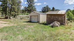Pre-foreclosure in  GREEN ST Bailey, CO 80421