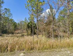  Canyon Swallow Rd, Brooksville FL