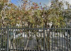 Pre-foreclosure in  NW 24TH CT  Fort Lauderdale, FL 33313