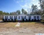 Pre-foreclosure Listing in JANE LN AYNOR, SC 29511
