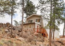 Pre-foreclosure in  S ELK CREEK RD Pine Grove, CO 80470