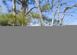 Pre-foreclosure in  HUMPHREY BRIDGE RD Mc Donald, TN 37353