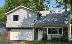 Pre-foreclosure in  WHITE BIRCH RD Lake Villa, IL 60046