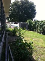 Pre-foreclosure in  ORCHID LAKE RD New Port Richey, FL 34653