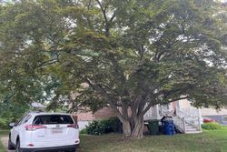 Pre-foreclosure in  FOREST VIEW AVE Baltimore, MD 21206