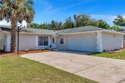 Pre-foreclosure in  BLUE RIDGE AVE Palm Harbor, FL 34683