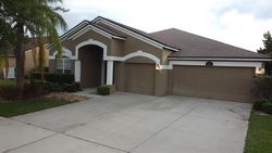 Pre-foreclosure in  STRIKE THE GOLD LN Wesley Chapel, FL 33544