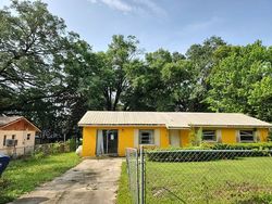 Pre-foreclosure in  NW 156TH PL Alachua, FL 32615