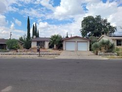 Pre-foreclosure in  DYER ST Las Cruces, NM 88011