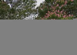 Pre-foreclosure in  SIMPSON RD Pendleton, SC 29670