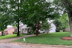 Pre-foreclosure in  MISTY CREST CV Memphis, TN 38141