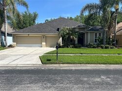 Pre-foreclosure in  SHOREGRASS DR Wesley Chapel, FL 33544