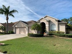 Pre-foreclosure in  RAVENDALE LN Holiday, FL 34691