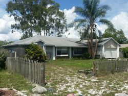 Pre-foreclosure in  RANDOLPH ST Deltona, FL 32725