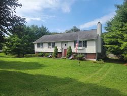 Pre-foreclosure in  RIVERDALE DR Wingdale, NY 12594