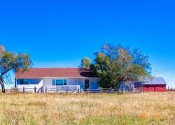 Pre-foreclosure in  COUNTY ROAD 149 Matheson, CO 80830