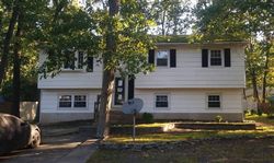 Pre-foreclosure in  CALIFORNIA TRL Browns Mills, NJ 08015