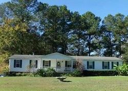 Pre-foreclosure in  BRAMBLEBUSH LN Cottageville, SC 29435