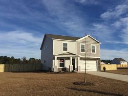 Pre-foreclosure in  DESERT ROSE CT Elgin, SC 29045