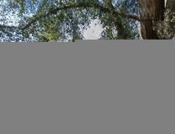 Pre-foreclosure in  WINSOR HILLS DR Columbia, SC 29204