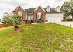 Pre-foreclosure in  HEISES POND WAY Columbia, SC 29229