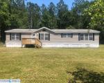 Pre-foreclosure in  HIBISCUS AVE Middleburg, FL 32068