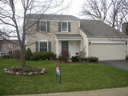 Pre-foreclosure in  YOSEMITE PKWY Algonquin, IL 60102