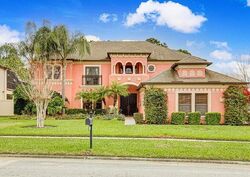  Ninebark Ct, Land O Lakes FL