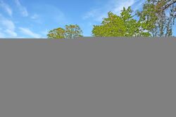 Pre-foreclosure in  WILLOW ST Hobart, IN 46342