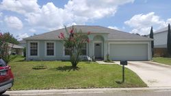Pre-foreclosure in  MISTY MEADOWS CT N Jacksonville, FL 32210
