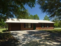 Pre-foreclosure Listing in SE HIGHWAY 55A OLD TOWN, FL 32680
