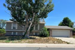 Pre-foreclosure in  GRAPE WAY Denver, CO 80233