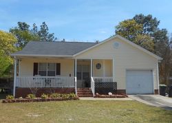 Pre-foreclosure in  BILL WILLIAMSON CT Lexington, SC 29073