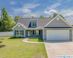 Pre-foreclosure Listing in GRAHAM RD GALIVANTS FERRY, SC 29544